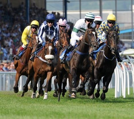 Newton Abbot Racecourse 
