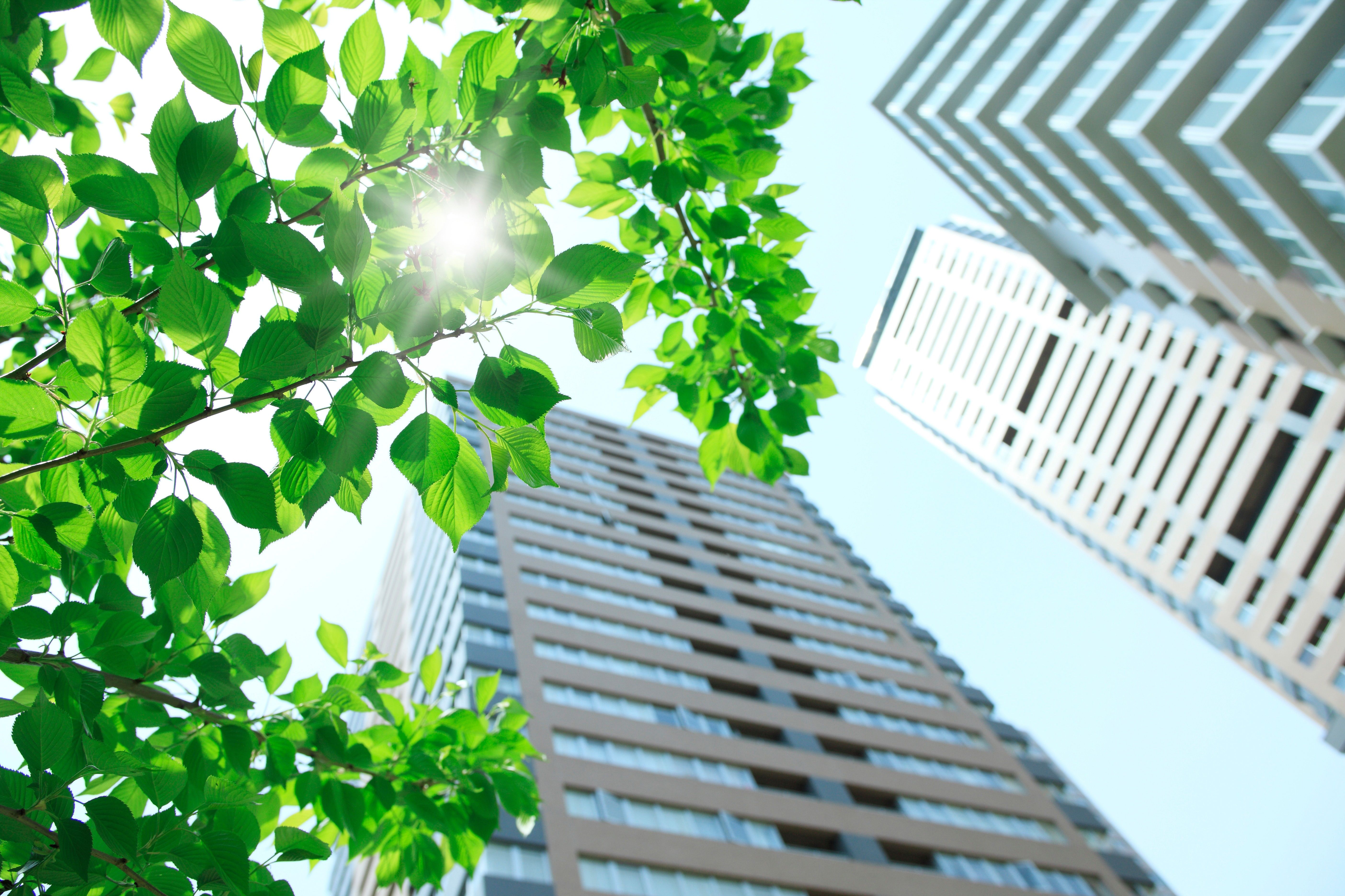 KNX on solutions for sustainability