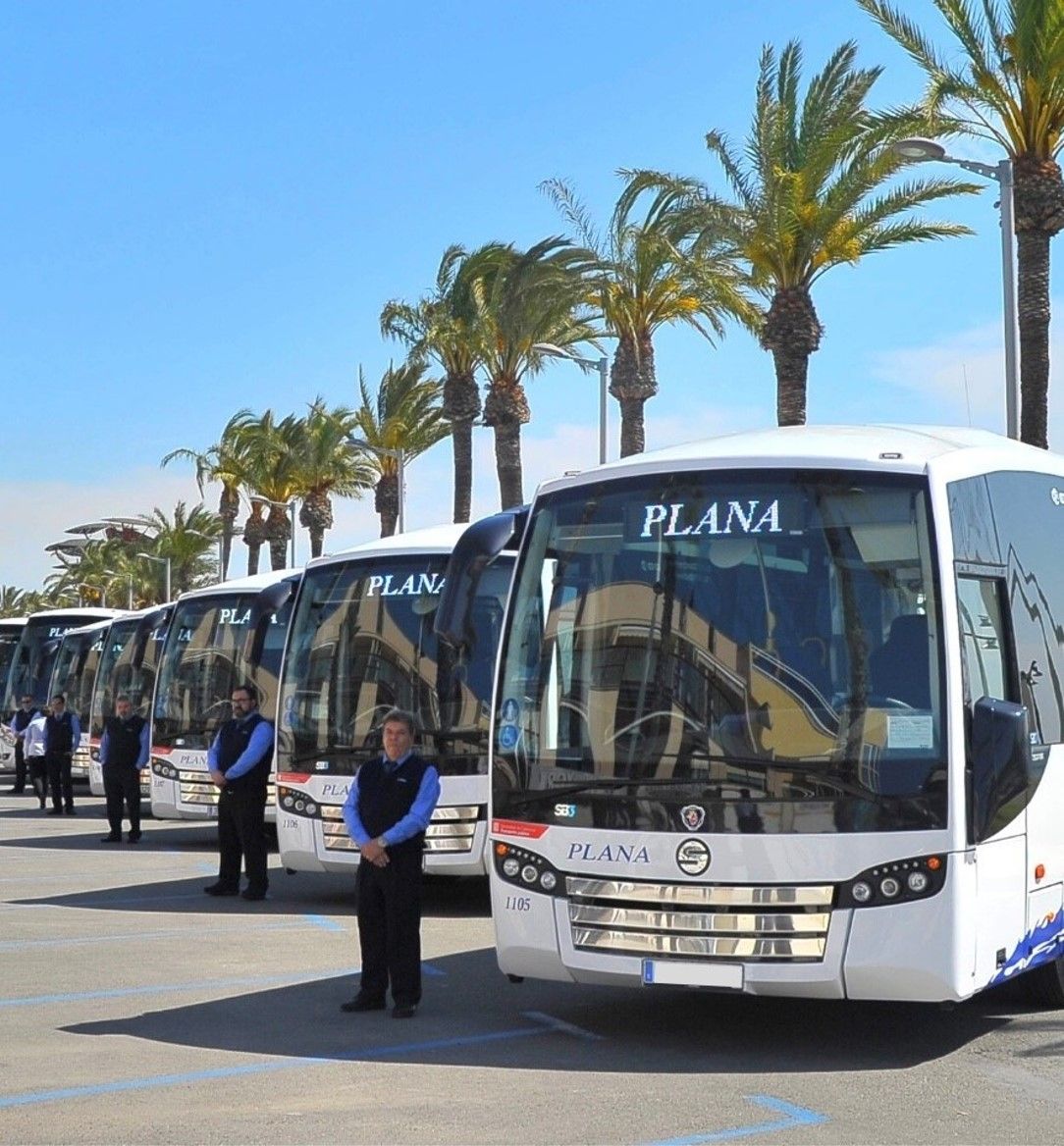 bnetwork buses