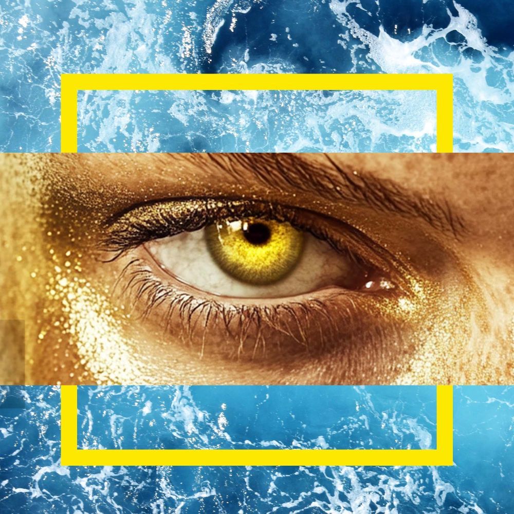 Evolution Unbound: a digital art performance by Jeroen van der Most