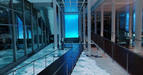 L’Aquàrium de Barcelona: Become an Aquarist for ISE Saturday!