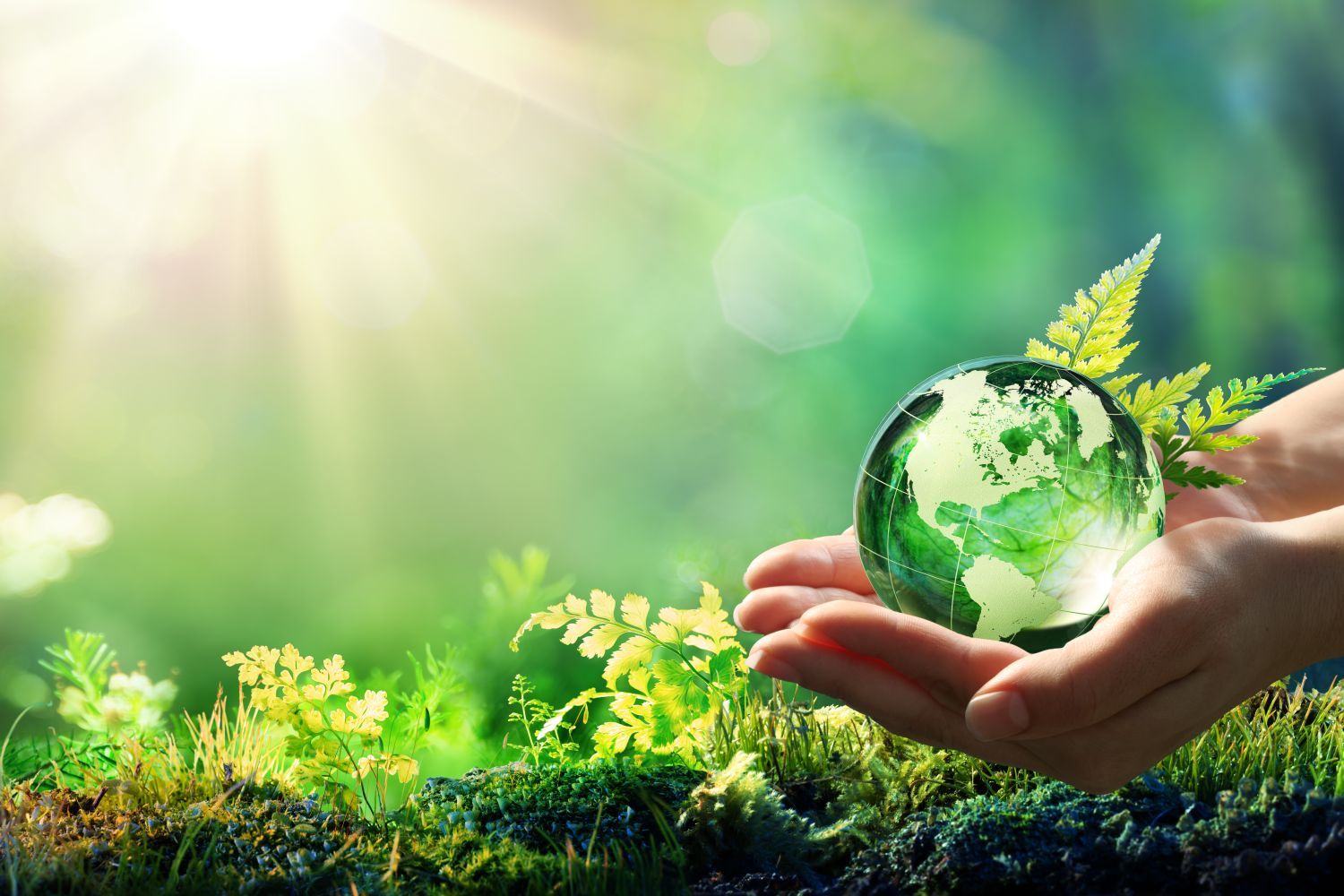 Sustainability
