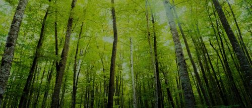 A greener future: practical steps for sustainable AV