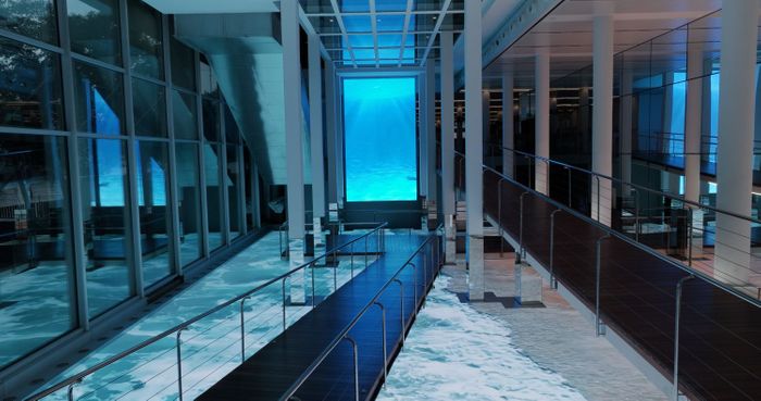 L’Aquàrium de Barcelona: Become an Aquarist for ISE Saturday!