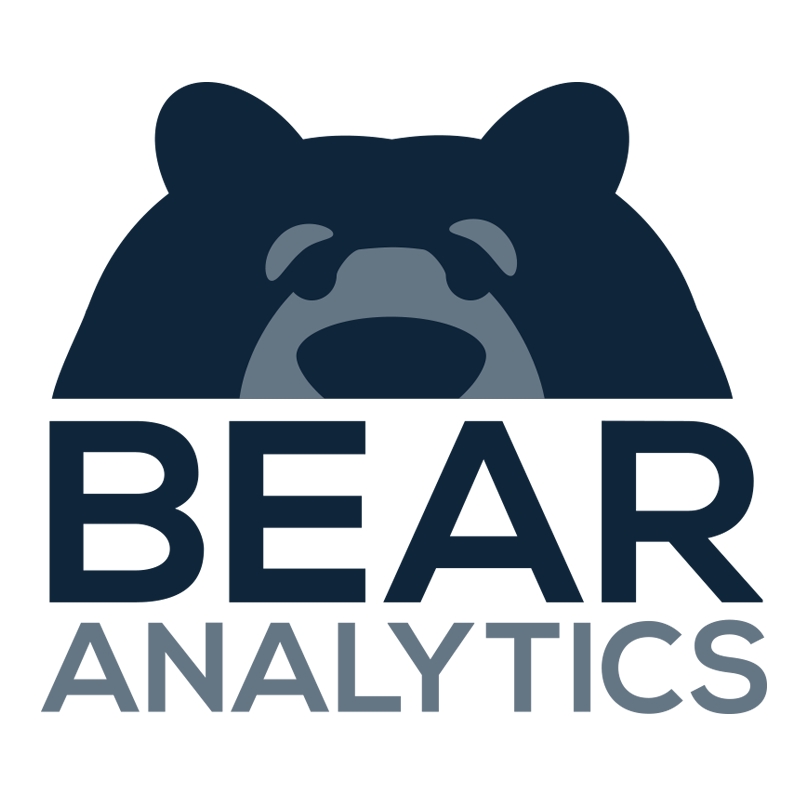 Bear Analytics Logo