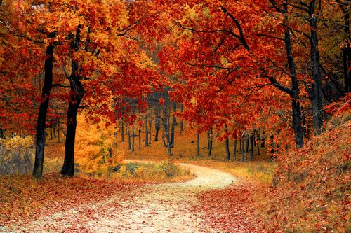 'On Fire' IAEE DC Fall Special Event