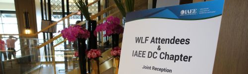 2019 Chapter Reception at Women's Leadership Forum