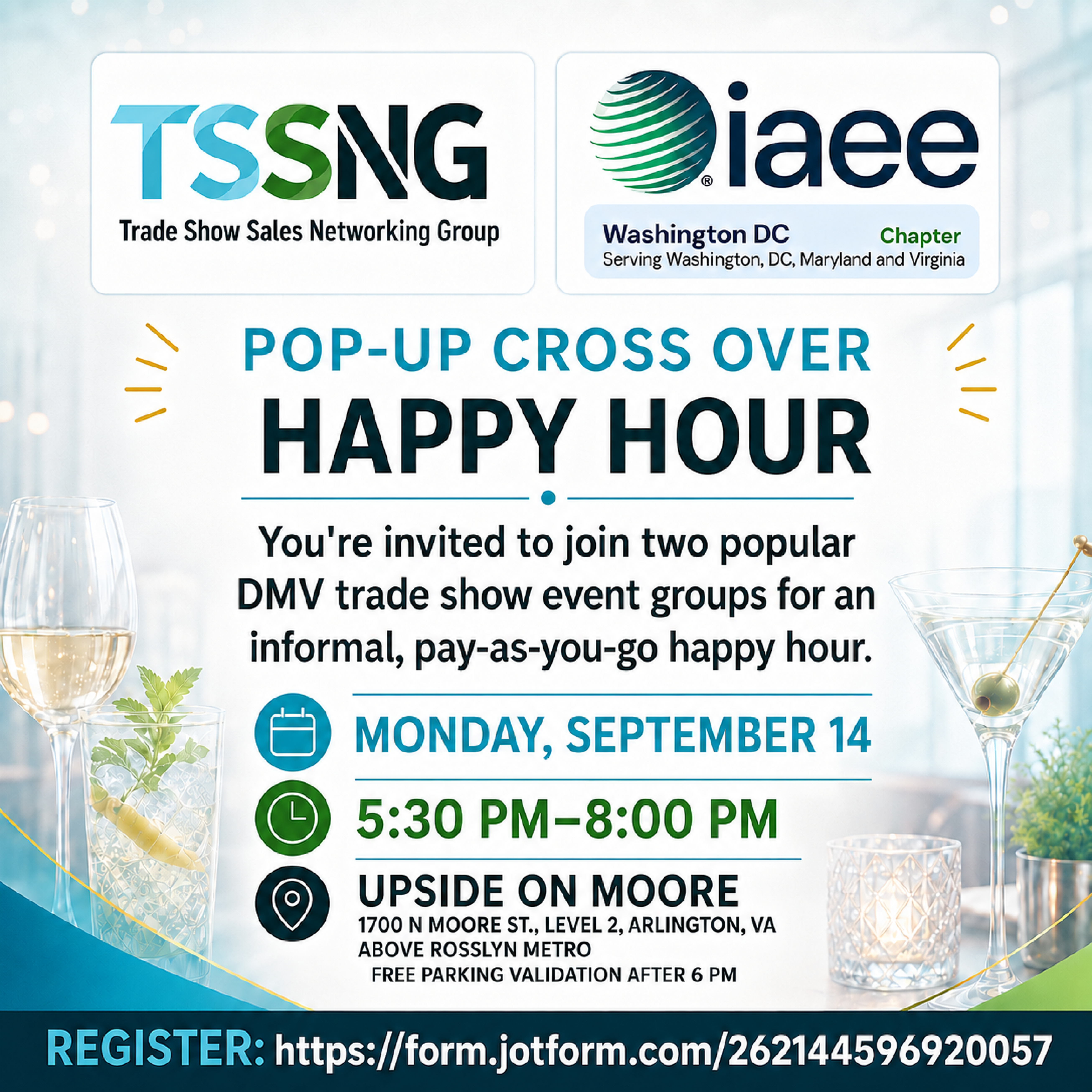 TSSNG and IAEE DC Chapter Pop-Up Cross Over Happy Hour