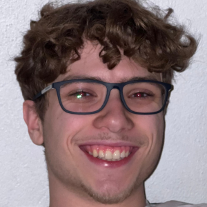 Dave ROOK - Delft University of Technology