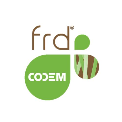 Frd CODEM