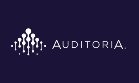 Auditoria.AI