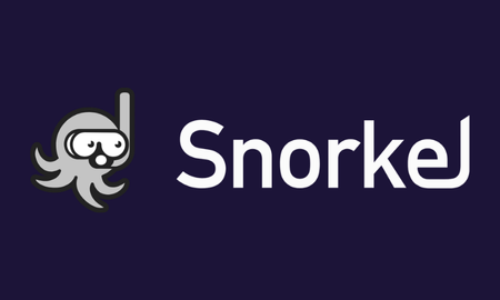 Snorkel AI