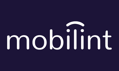 Mobilint