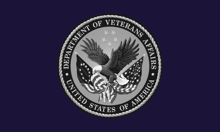 Department of Veteran Affairs