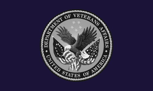 Department of Veteran Affairs