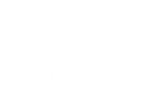 Ambarella