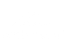 Ambarella