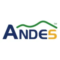 Company name - Andes Technology