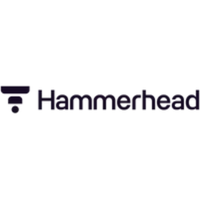 Company name - Hammerhead AI