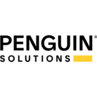 Company name - Penguin Solutions