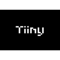 Company name - Tiiny AI