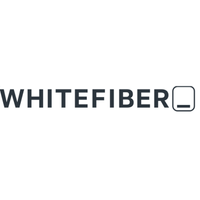 Company name - WhiteFiber