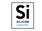 Silicone Catalyst