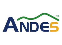 Company name - Andes Technology