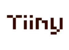 Tiiny AI