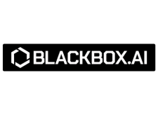 Blackbox AI
