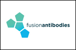 Fusion Antibodies