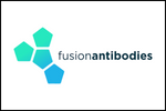 Fusion Antibodies