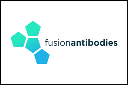 Fusion Antibodies