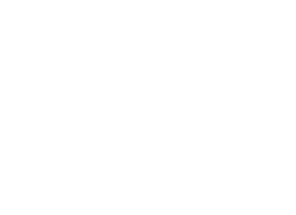 Bird-Bird