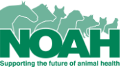 NOAH