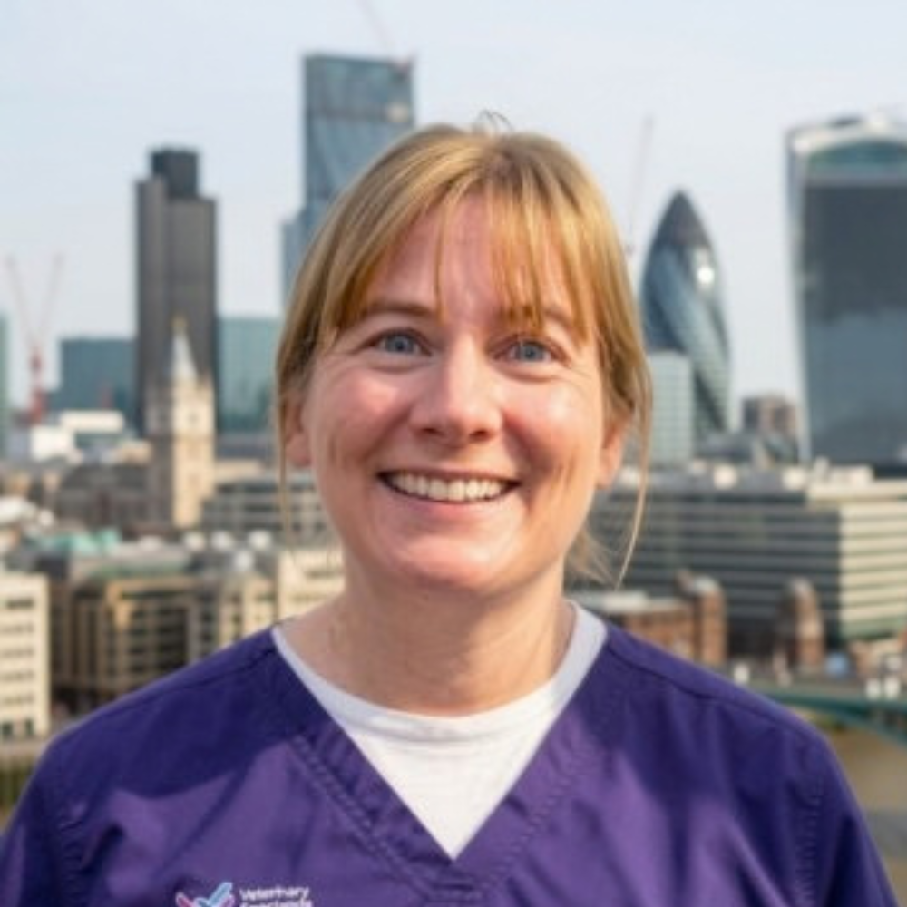 Speaker image for Debbie Gow