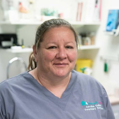 Caroline Collins