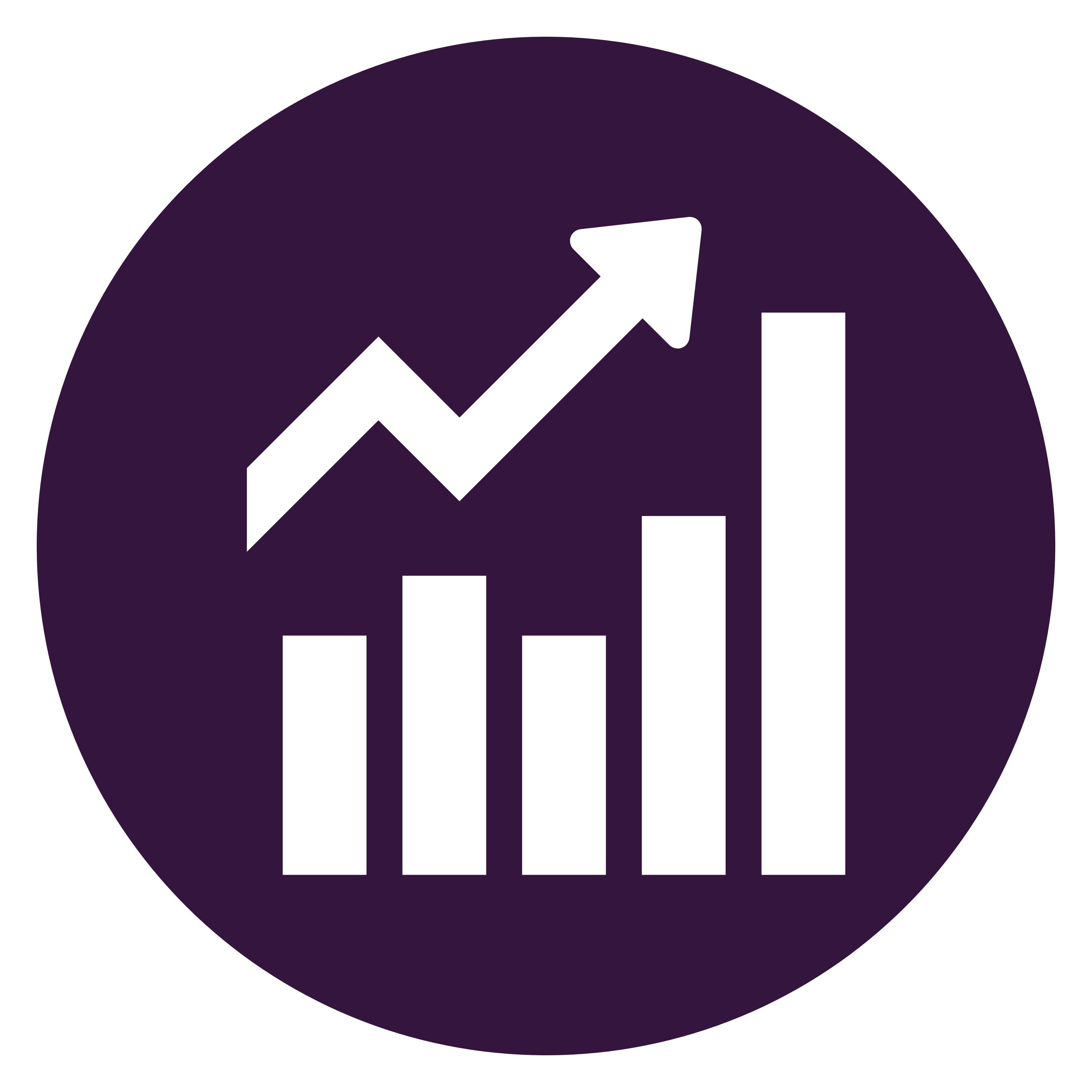 Investment outlook icon
