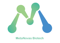 MetaNovas