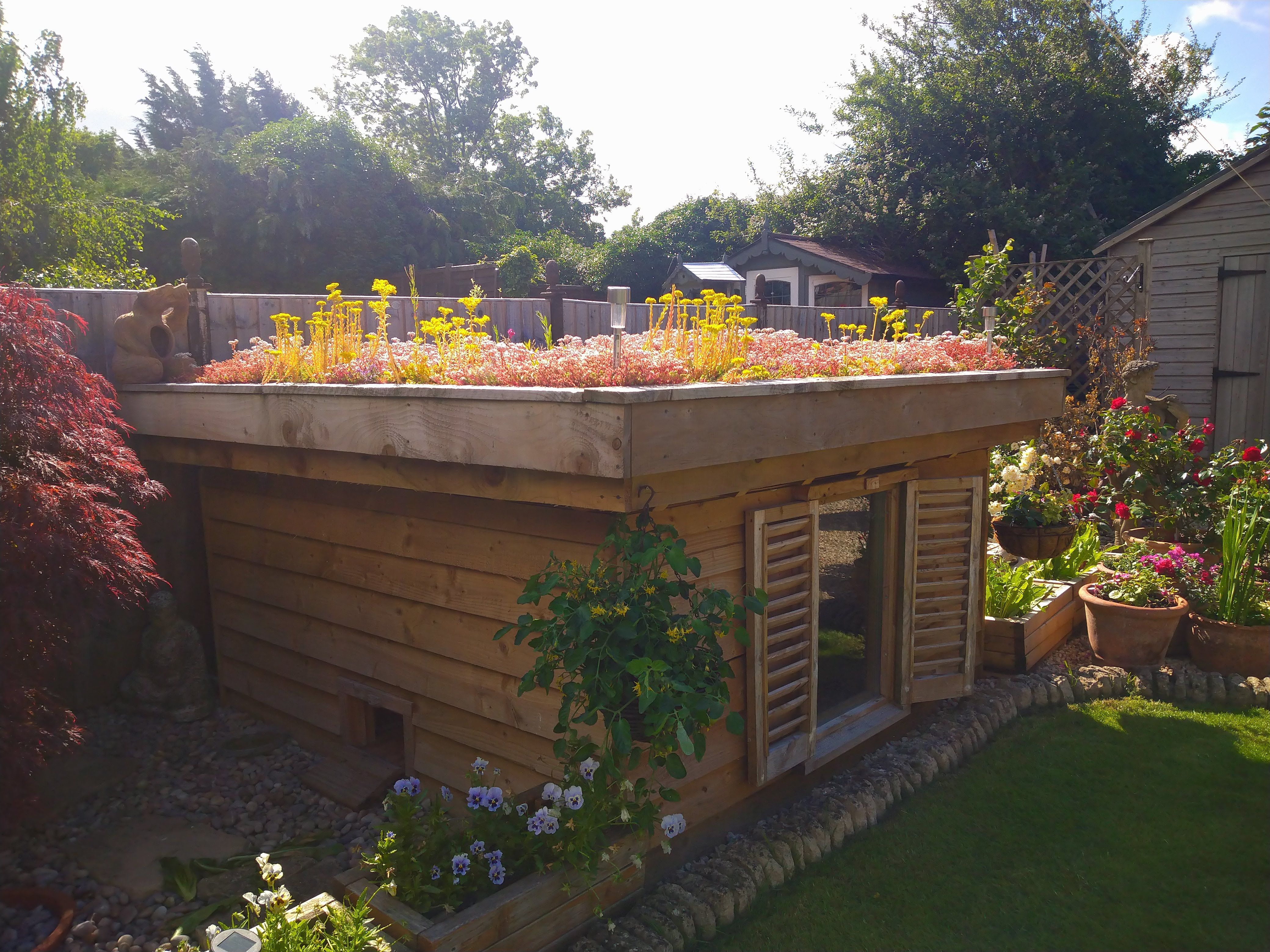 Oxford Green Roofs Ltd - Living Roofs