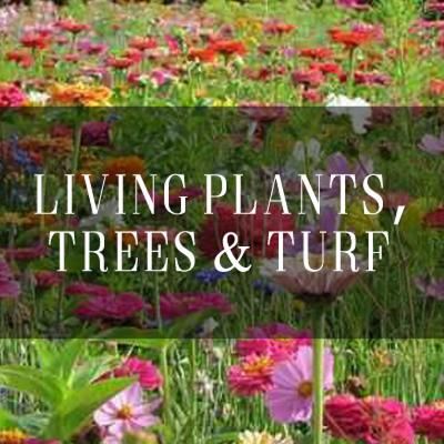  Living Plants, Trees & Turf