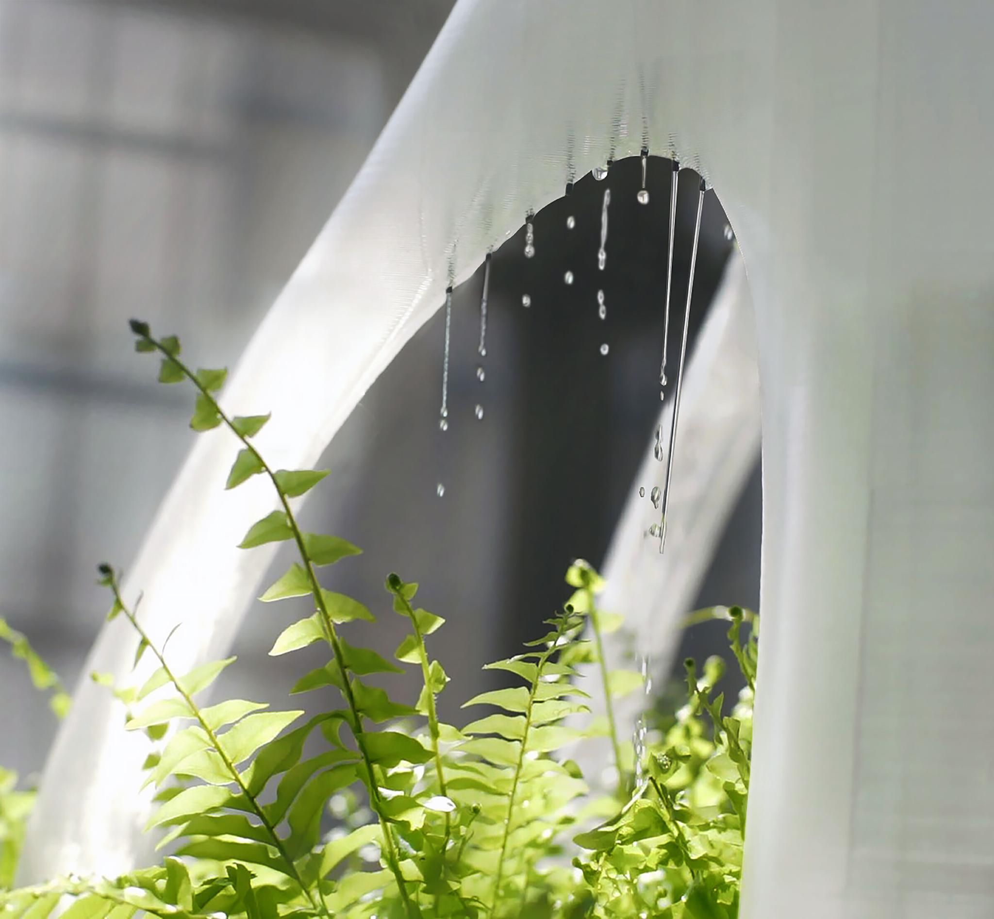 The world's first 3D printed irrigated green wall
