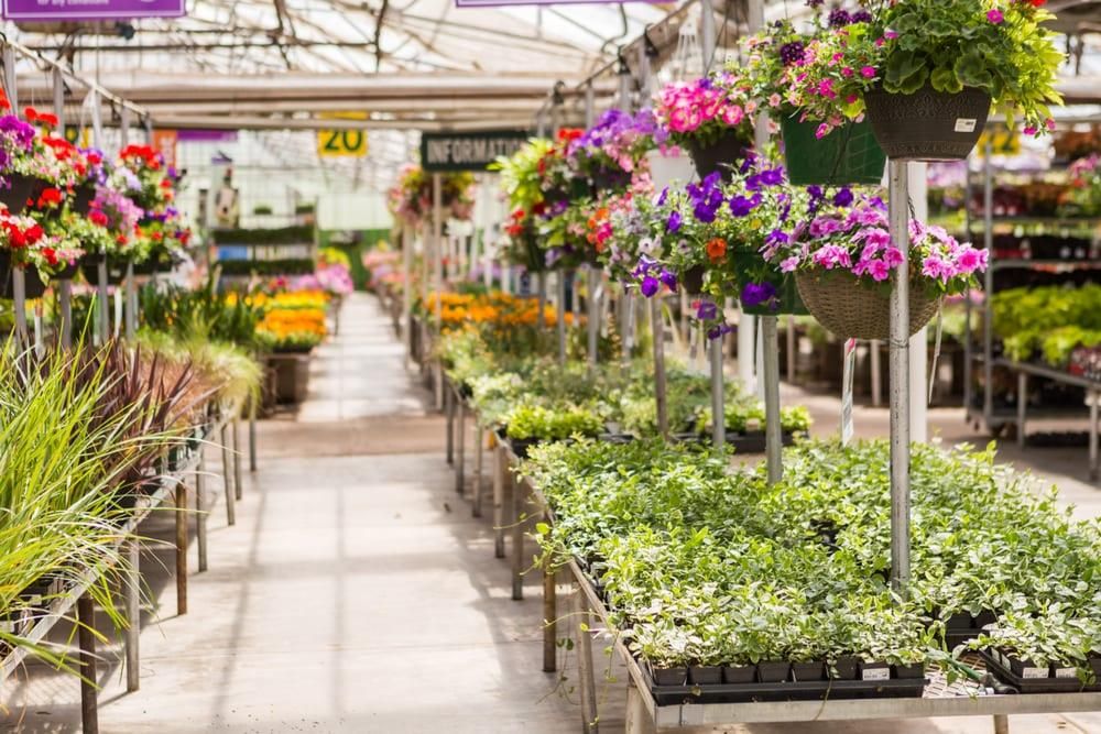 UK Government plans to announce garden centres can reopen from Wed 13 May