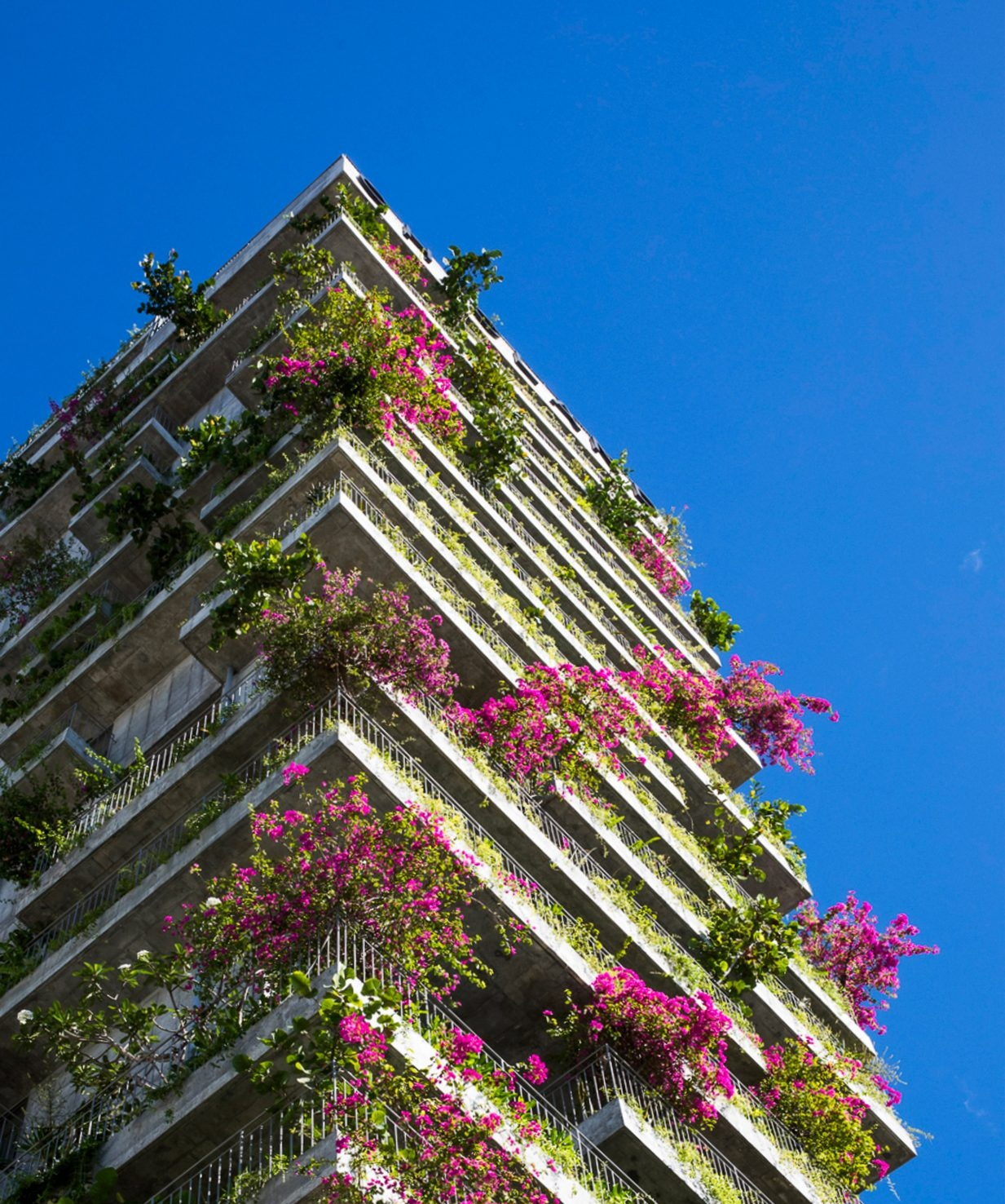 Tropical plants cover the balconies of Chicland hotel in Vietnam