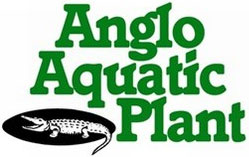 Anglo Aquatic Plant Co Ltd