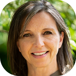 Denise Quinlan - The Insightful Collective