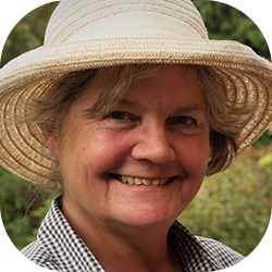 Gillian Taylor - Gillian Taylor