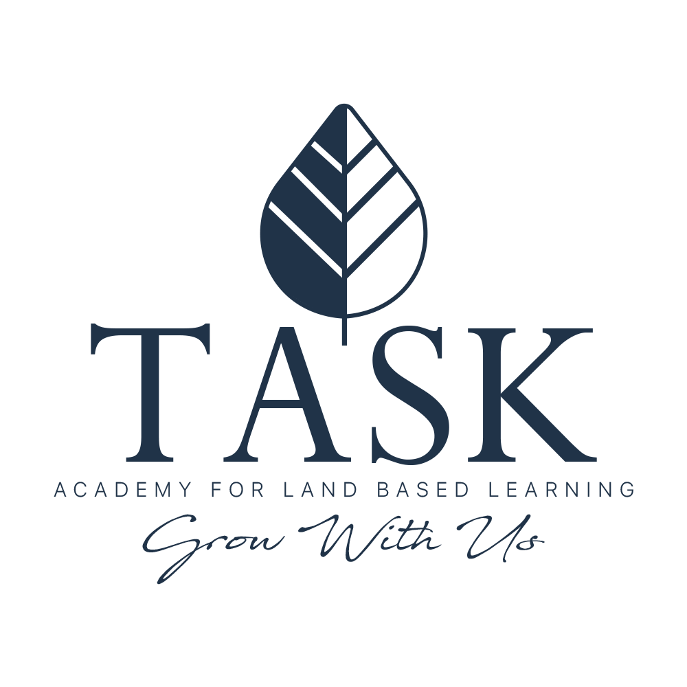 Task Academy