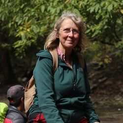 Jane Wilson-Howarth