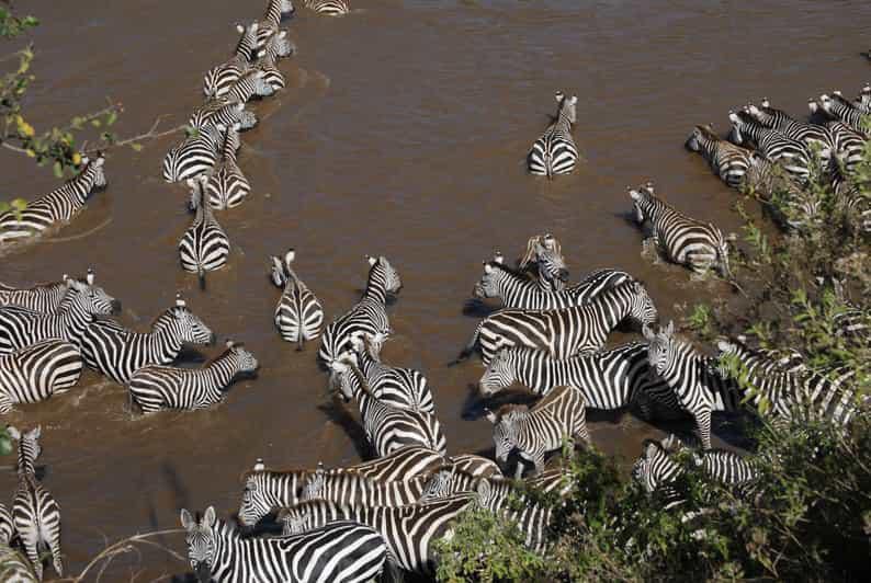 Experience the Serengeti Great Migration with Heavenly Wonders Safari